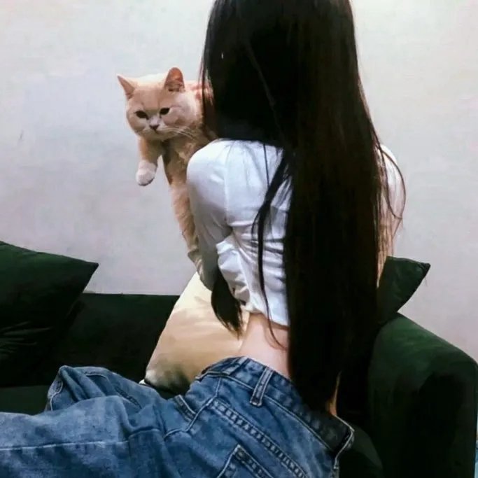 走过路过莫错过 在线观看